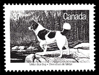 Bear Dog postage stamp